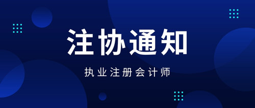 执业注册会计师.jpg